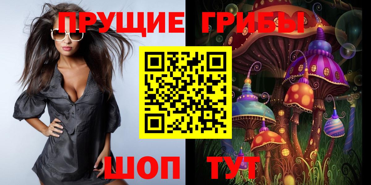 Мурино  Псилоцибиновые грибы Psilocybe  Вход с VPN 