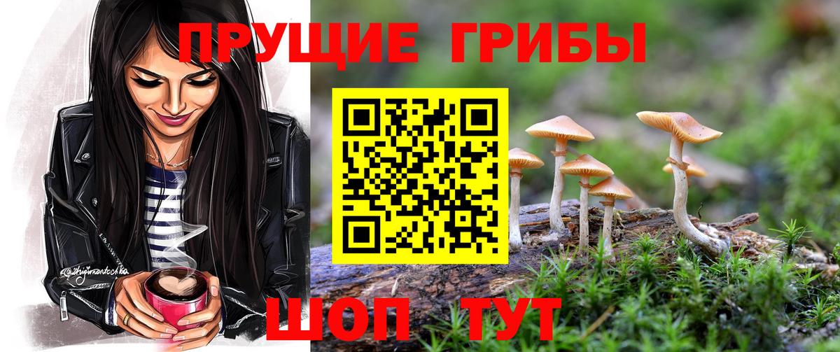 Псилоцибиновые грибы Cubensis Мурино